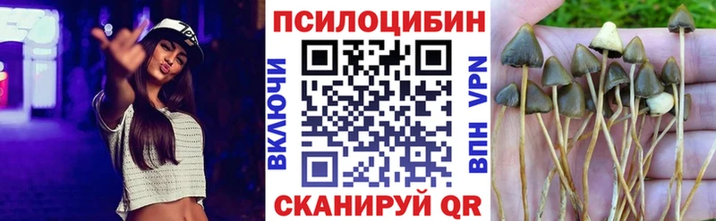 Галлюциногенные грибы GOLDEN TEACHER Туринск