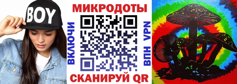Псилоцибиновые грибы Psilocybine cubensis как найти закладки Туринск